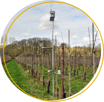 weather station in fruit orchard