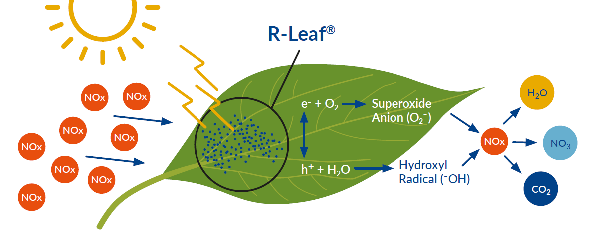 r leaf illustration of nox converted to h2o co2 and no3