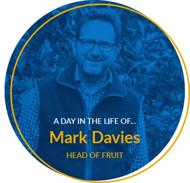mark davies head of fruit a day in the life of