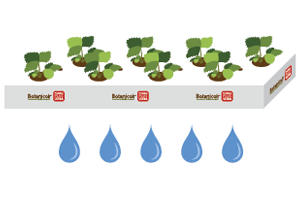 Botanicoir - Excellent Drainage