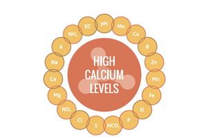 Botanicoir - High Calcium Levels