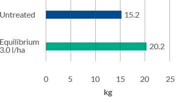 Equilibrium Yield graph