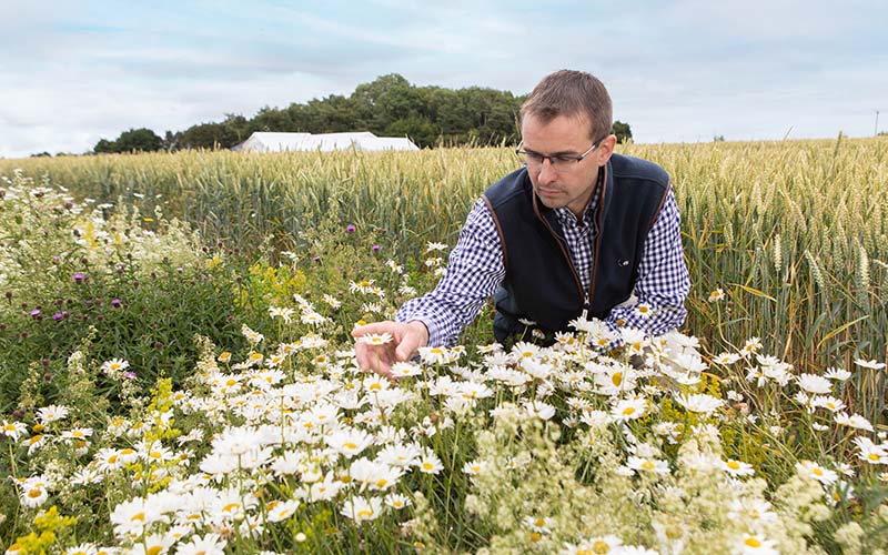 Staff member at Lamport