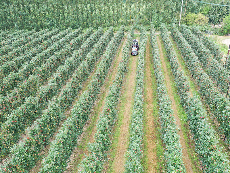 Field Counting field