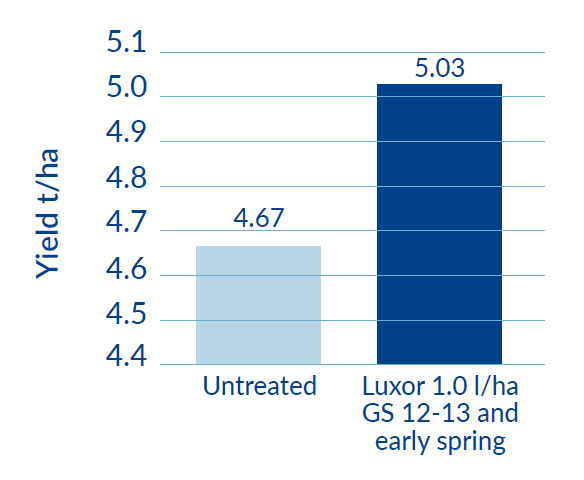 Effects of Luxor on Oilseed Rape Yield graph