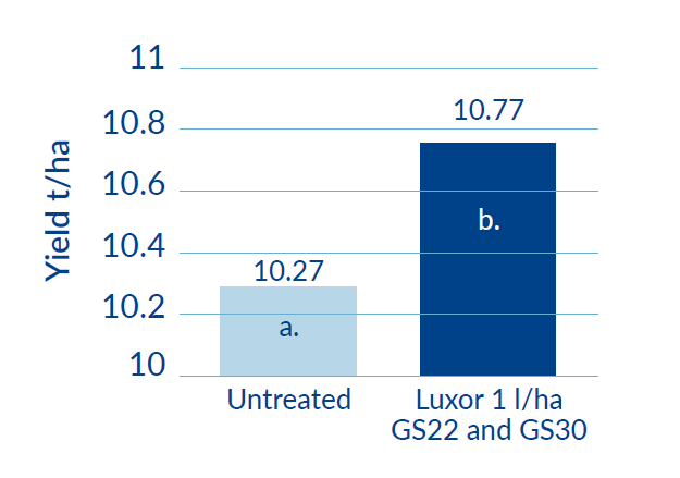 Effects of Luxor on Winter Wheat Yield graph
