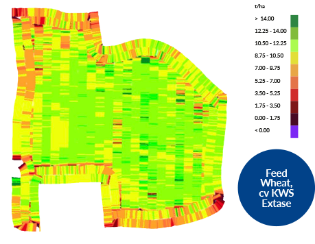 MZ28 Yield map