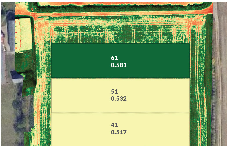 NUELLO iN and Voltek Bio NDVI scan