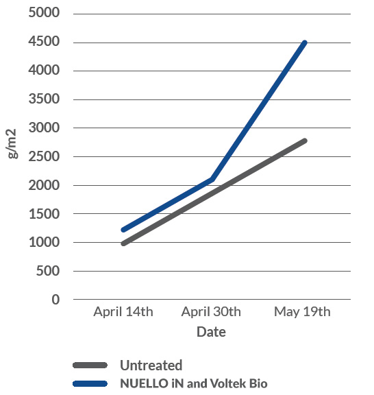 NUELLO iN and Voltek Bio Winter Wheat Establishment graph