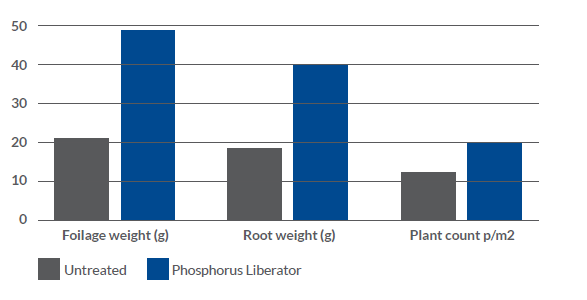 Phosphorus Liberator Spring Bean Development graph