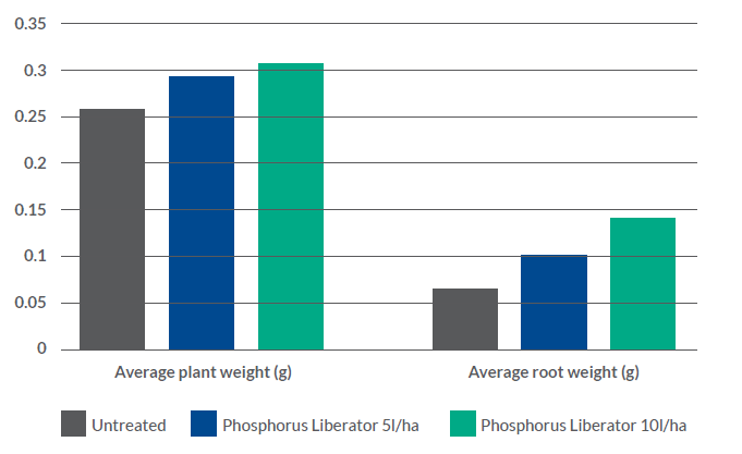 Phosphorus Liberator Winter Wheat Early Crop Assessment graph