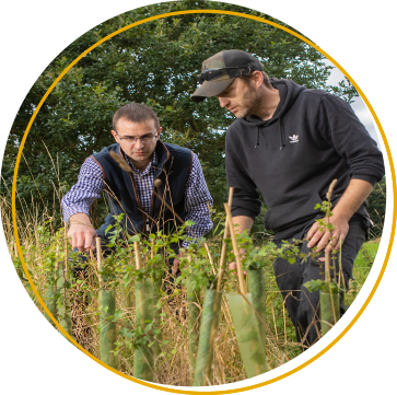 Rural Consultancy image