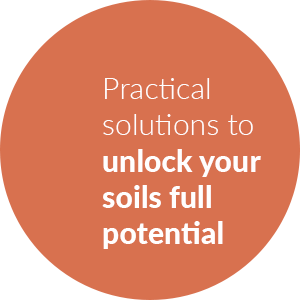 Soil Health Analysis Packages Quote